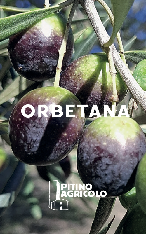 Orbetana monovarietal image 1