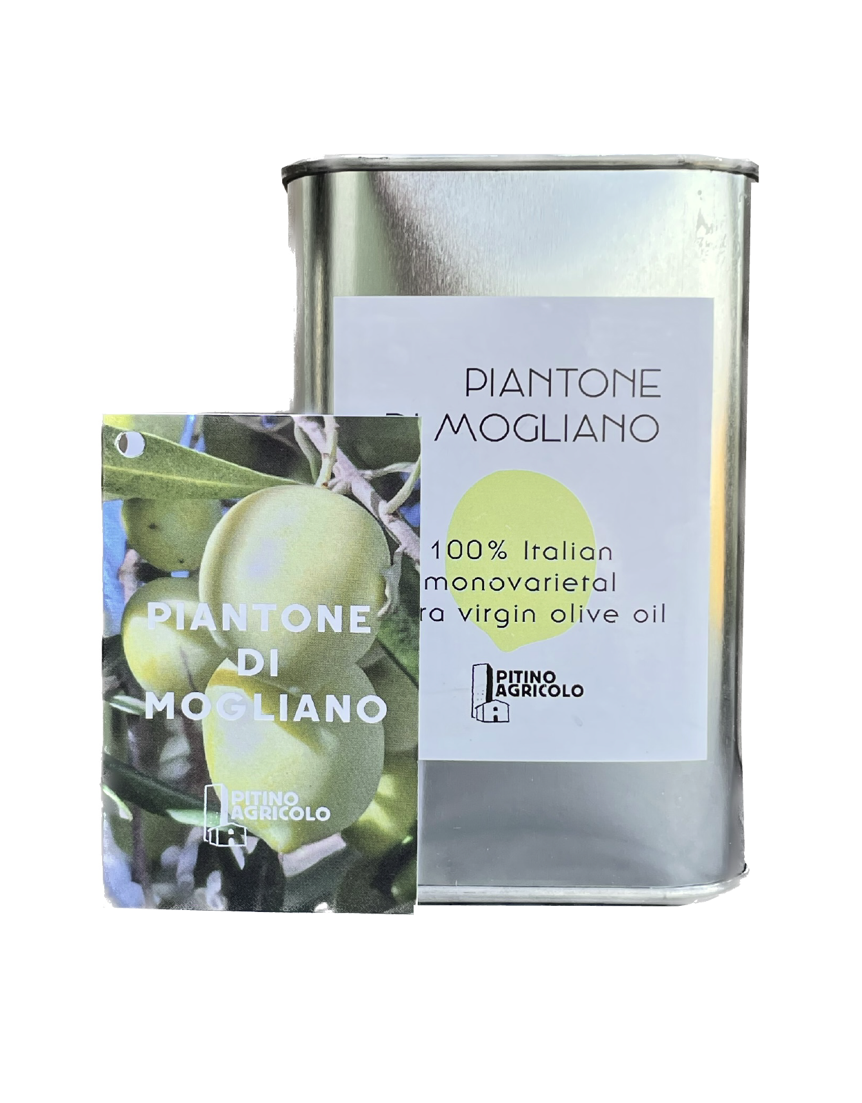Piantone di Mogliano monovarietal