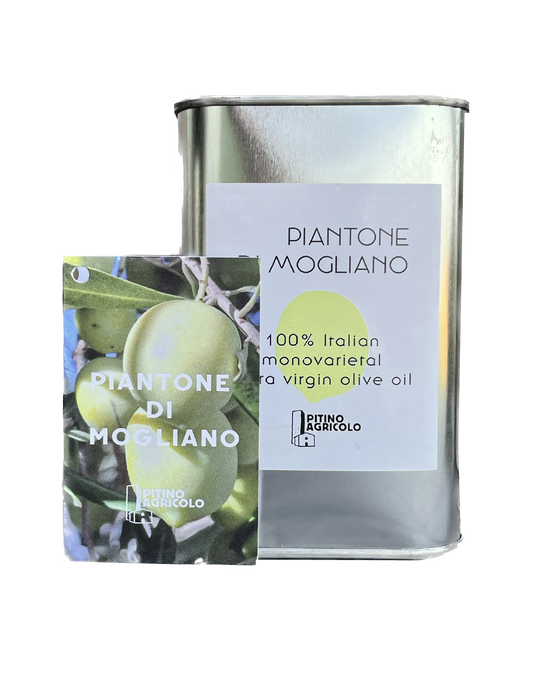 Piantone di Mogliano monovarietal