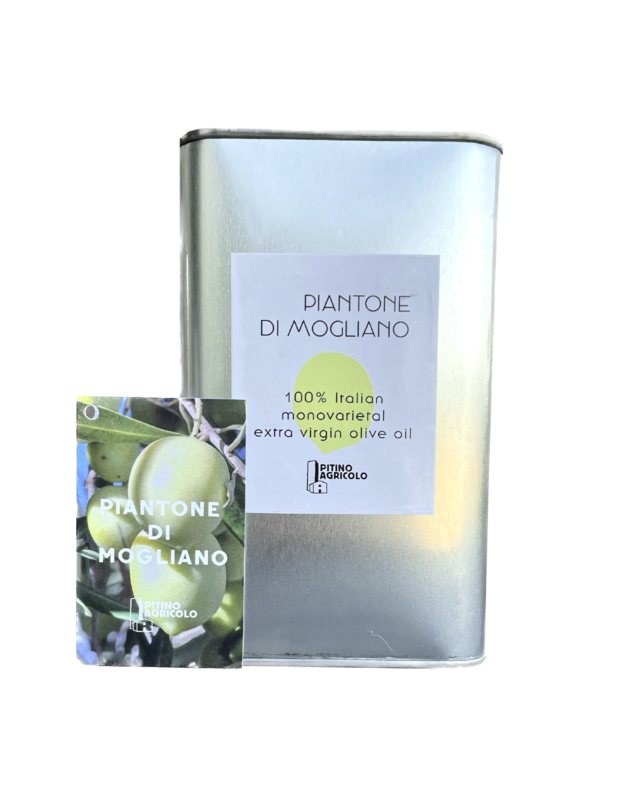 Piantone di Mogliano monovarietal