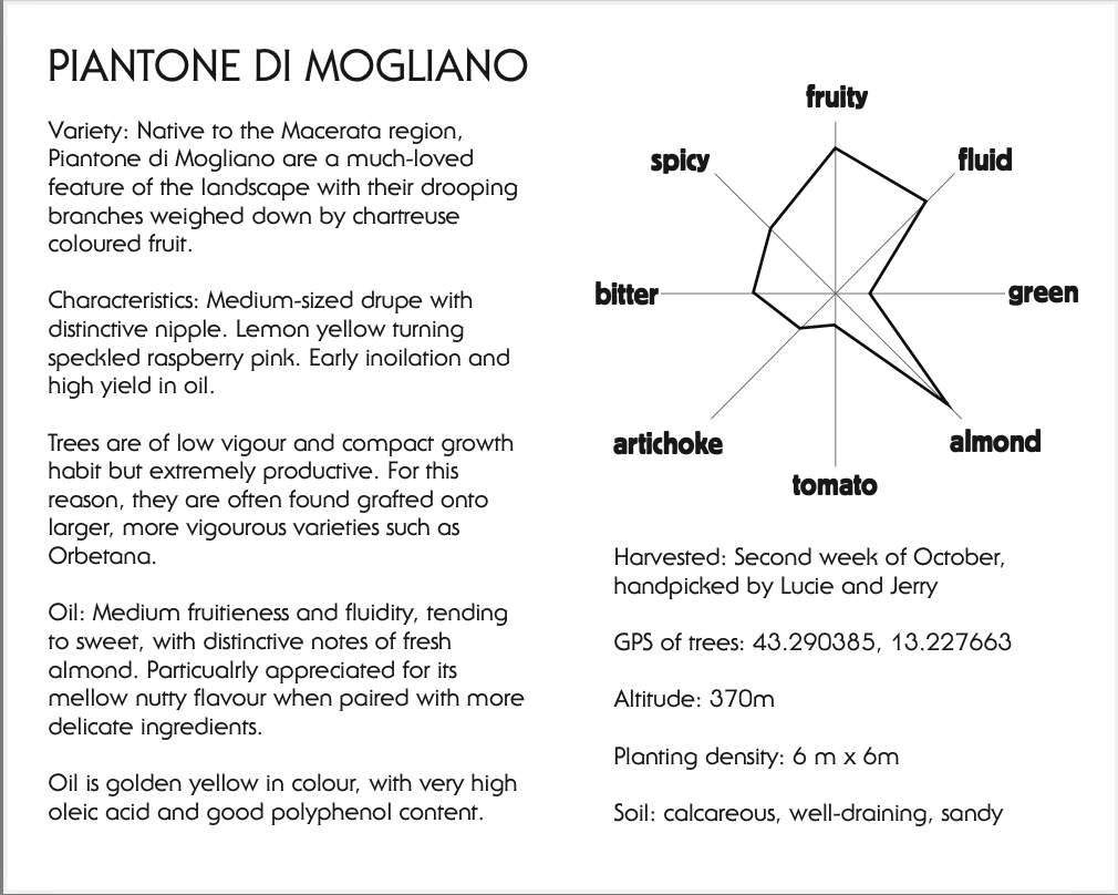 Piantone di Mogliano monovarietal image 2