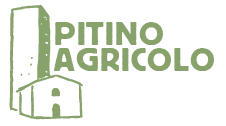 Pitino Agricolo